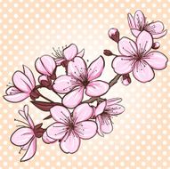cherry blossom N29