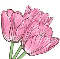 Floral background with flowers of tulips N3