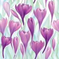Spring flower crocus seamless background