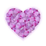 Pink heart of petals on white background N2