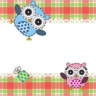 owls N11