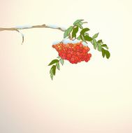 Background with rowan branch