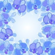 orchid frame N2