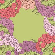Phlox flowers card design