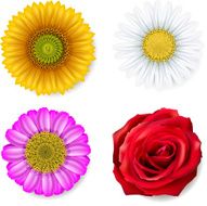 Set of flowers N22