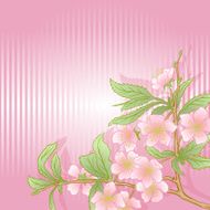 Vector greeting card with cherry blossom