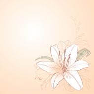 Vintage Floral Card N24