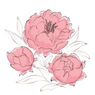 Bouquet of peonies N2