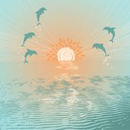 Jumping Dolphins