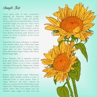 floral card with sunflowers N2