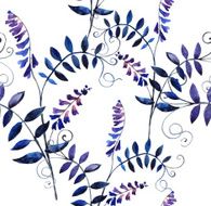 wild vetch N7