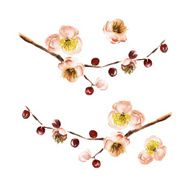Watercolor set with branch of flowers N2