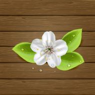 Flower on wooden background N2