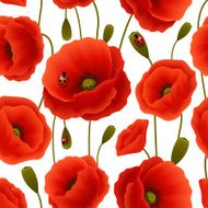 Poppy Seamless Pattern N3