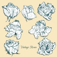 set of roses N4