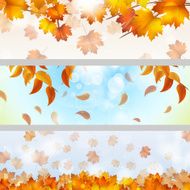 Autumn Theme Banners