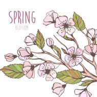 Blossoming Spring Branch Vector illustration N4