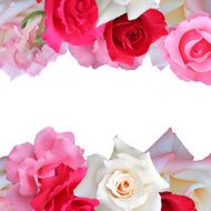 Roses greeting card N2