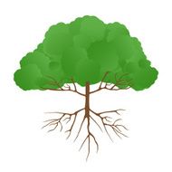 Big Tree N2