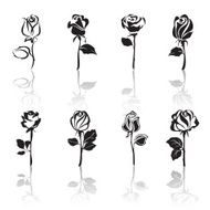 Icon set of Roses with reflections