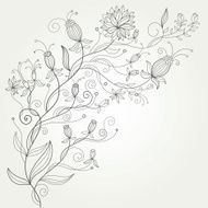 floral illustration N15