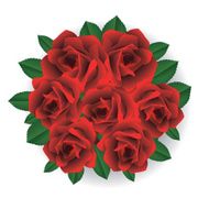 Bouquet of red roses N3