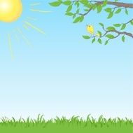 Background with bird on a tree