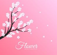 concept of floral branch on pink background