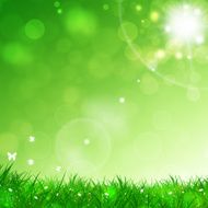 Summer Green Background