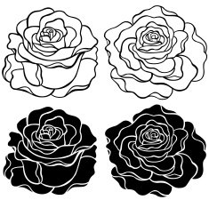 Roses Outline and Silhouette Vector