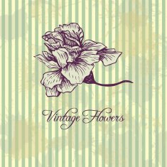 vintage vector floral background N8