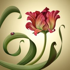 vintage tulip flower illustration N2