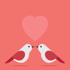 Love Bird N14