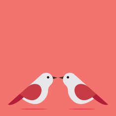 Love Birds N65