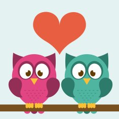owl design N4