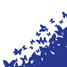 Isolated background with blue butterfly N2