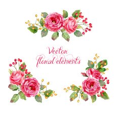 Set of floral elements for design N10