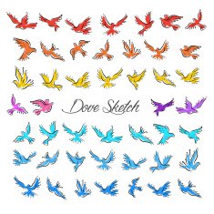 Dove and Pigeon Set in Sketch Style N3