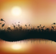 Summer background N40