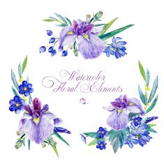 Set of floral elements for design N11