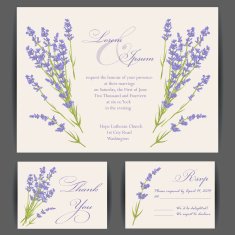 Wedding Invitation Card N114