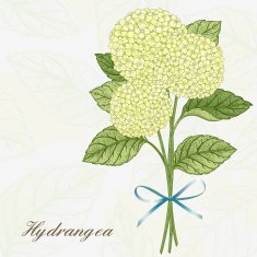 Card with hydrangea N4