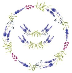 Hand drawn set of lavender flowers wreaths and decoration elements