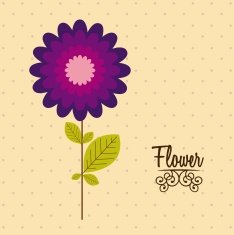 Flowers Icons N20