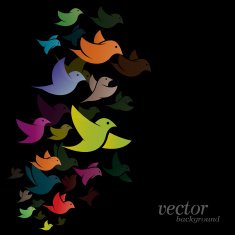 Bird design on black background N2