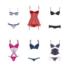 Vector set of very attractive and seductive lingerie N2