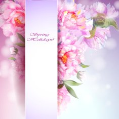 Peonies flowers background N7