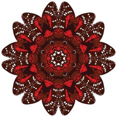 beautiful vector circular background N33