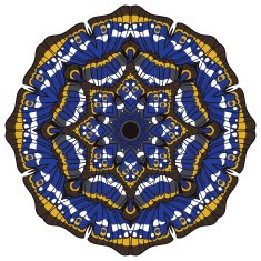 beautiful vector circular background N34