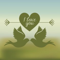 love design N790